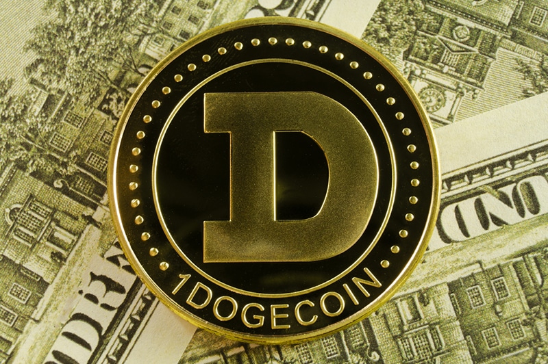 World’s Largest Dogecoin Holder Suffers 67% Decline in Value to $ 8 billion