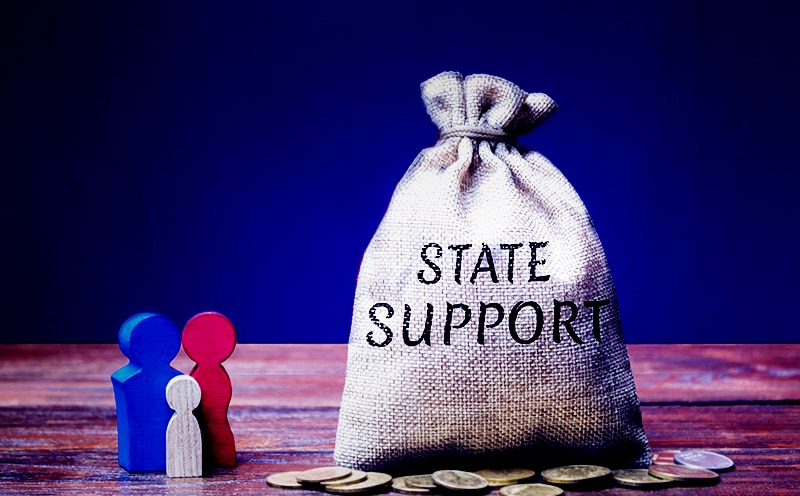 Money bag with the word State support and family.