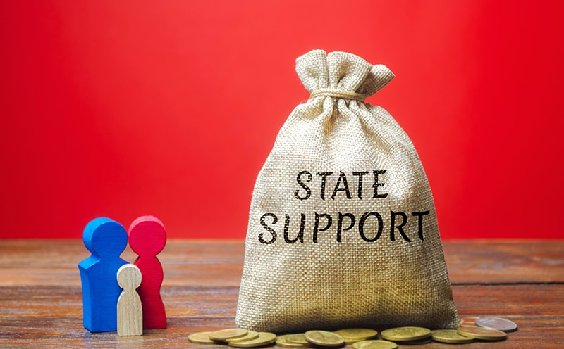 Money bag with the word State support and family