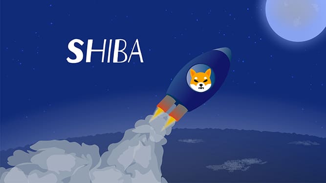 Shiba flies to the moon in spaceship. Rocket with a dog's muzzle takes off from the ground and rushes upward.