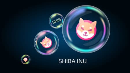 Shiba Inu SHIB token symbol in soap bubble, coin DeFi project decentralized finance. Vector EPS10.
