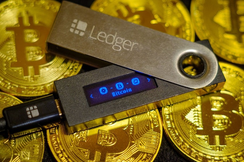 Ledger Wallet at the coins