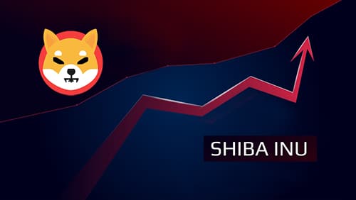 Shiba Inu SHIB in level up