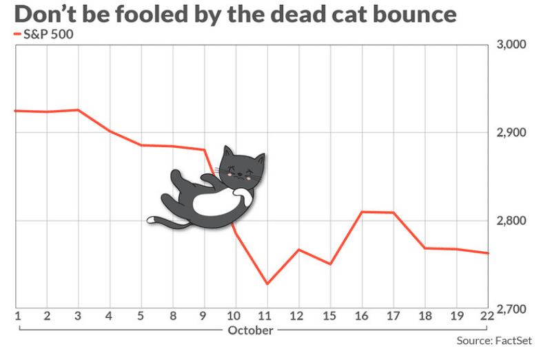 The dead cat bounce concept on chart
