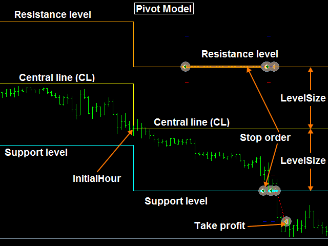 Trading activity of Belkaglazer