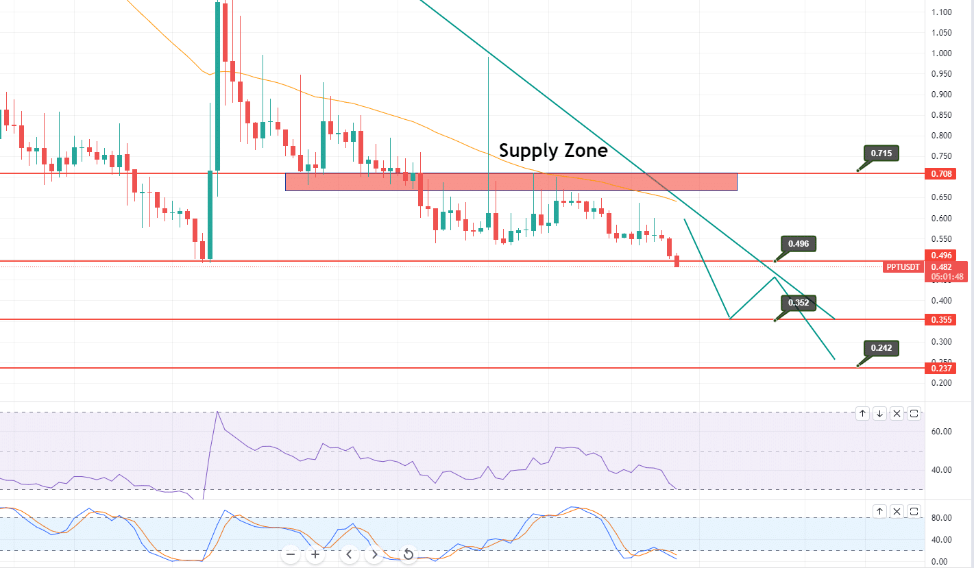 PPT coin price prediction — daily chart