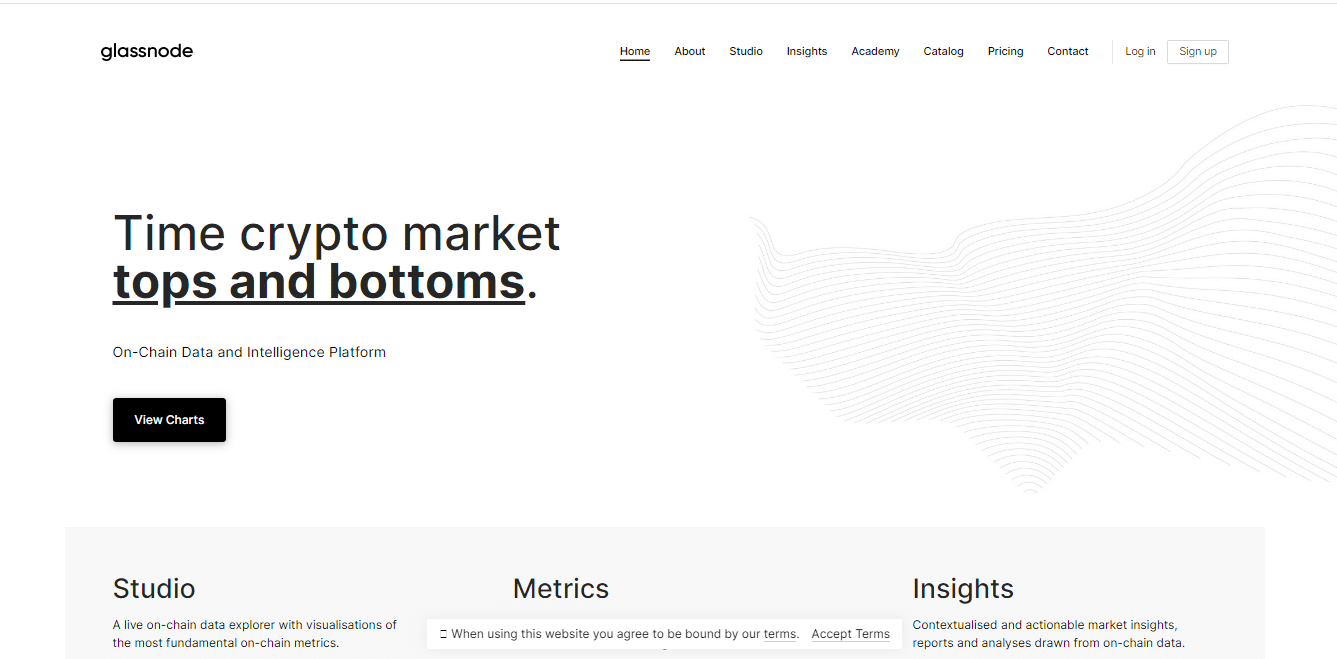 Glassnode homepage