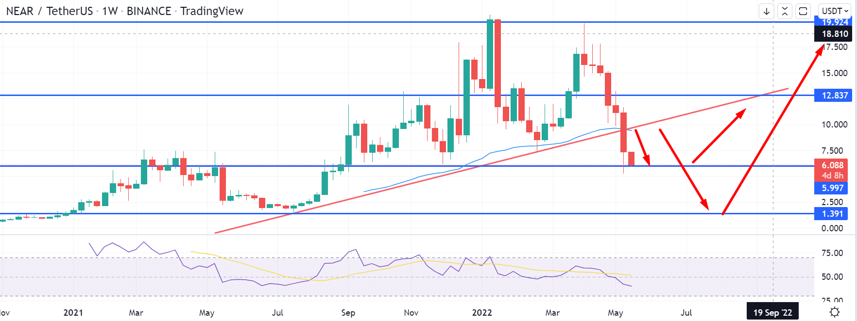 Near coin price prediction — daily chart 