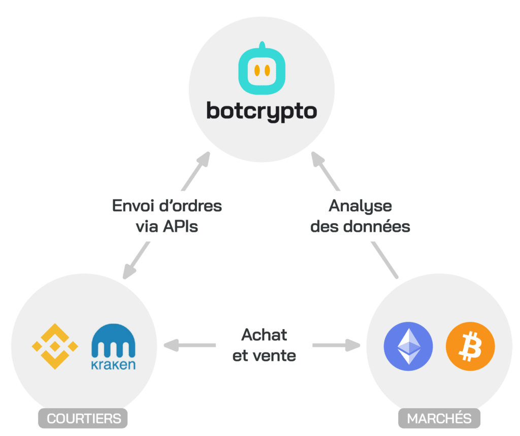 The working of Botcrypto